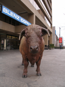 ushi