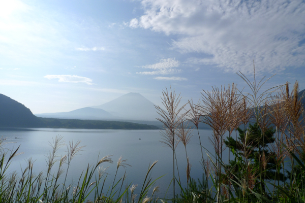 富士山とススキ